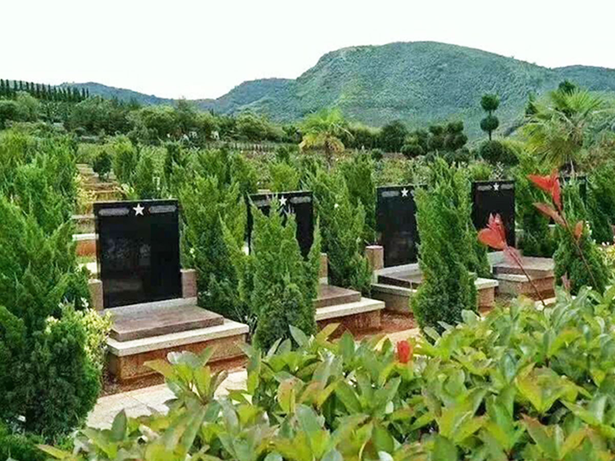 墓区绿化