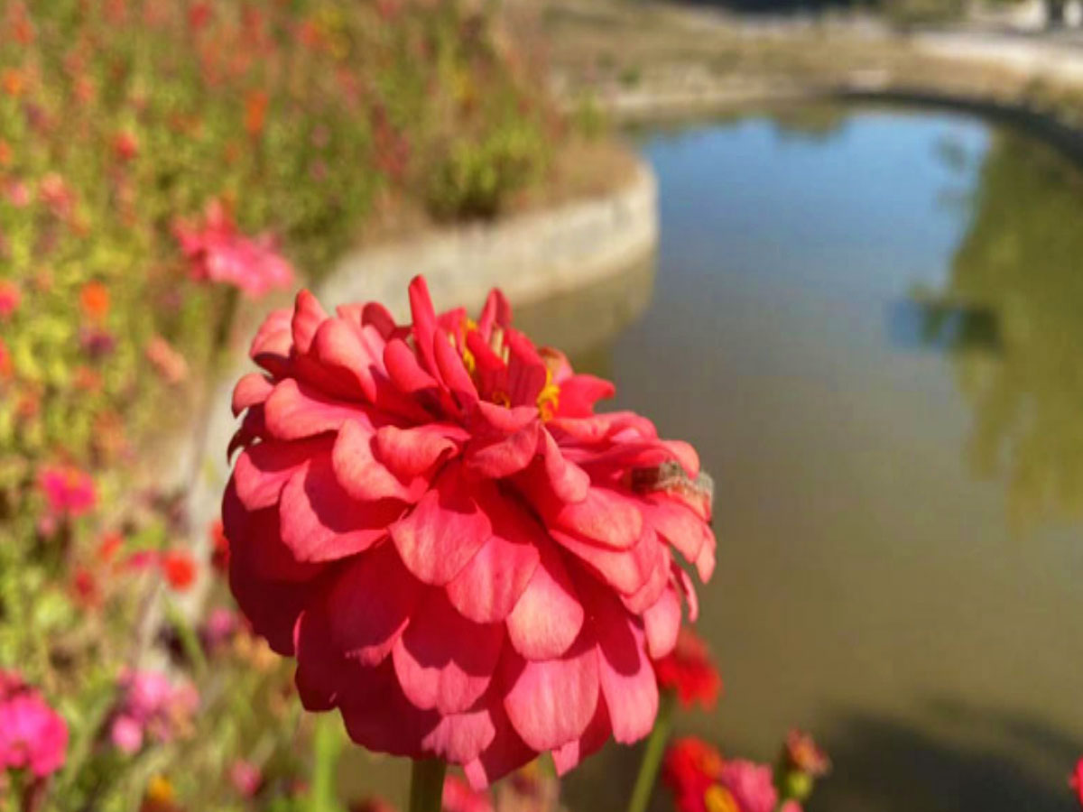 春暖花开