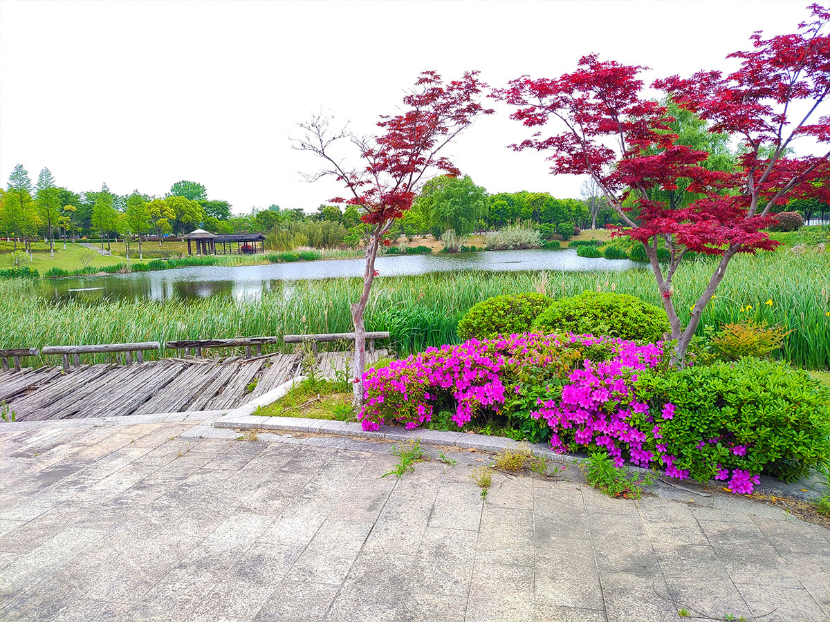 陵园风采