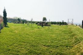 园区绿化