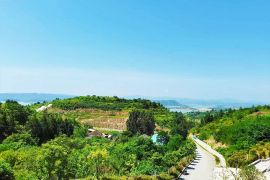 陵园小路