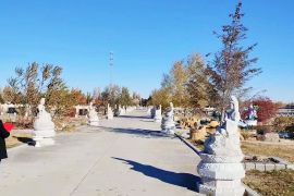 陵园主路