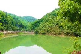 湖光春色