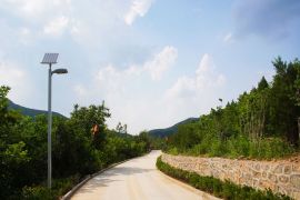 园区小路