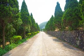 园区道路