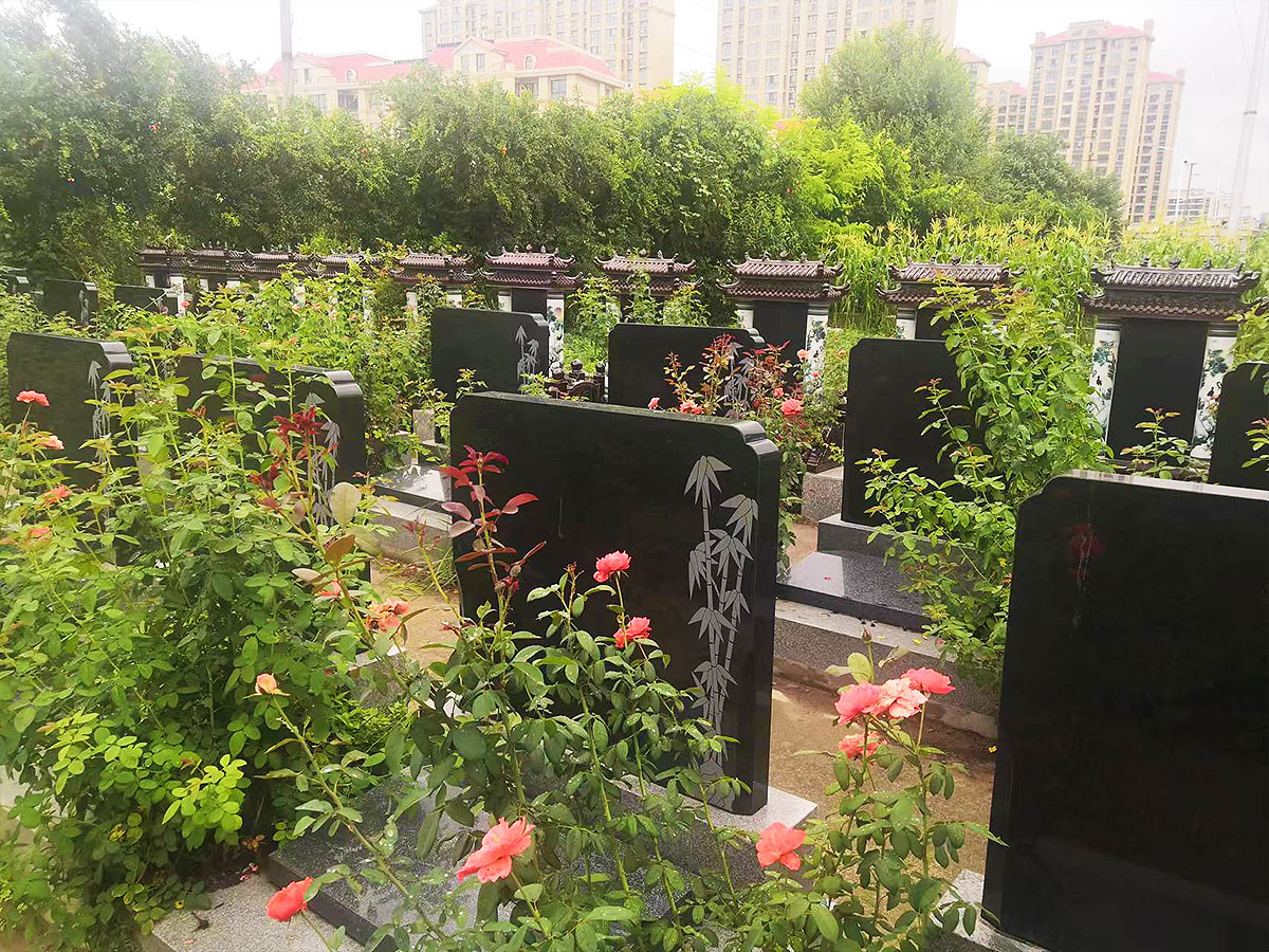 墓区环境