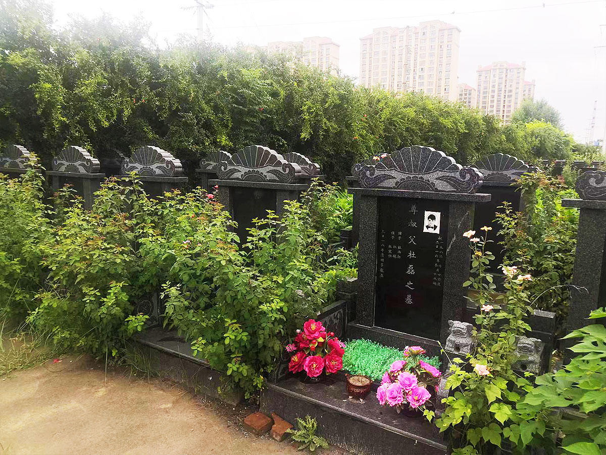 墓区环境