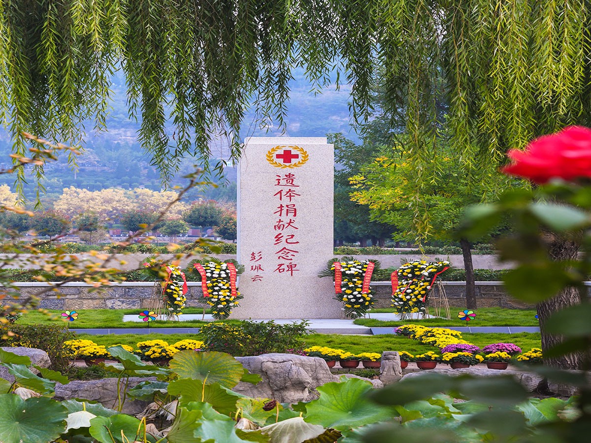 园区图片
