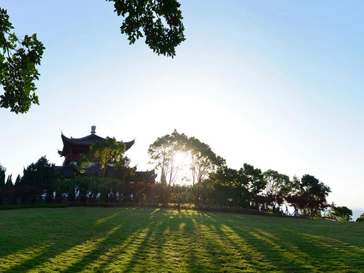 绿色草地