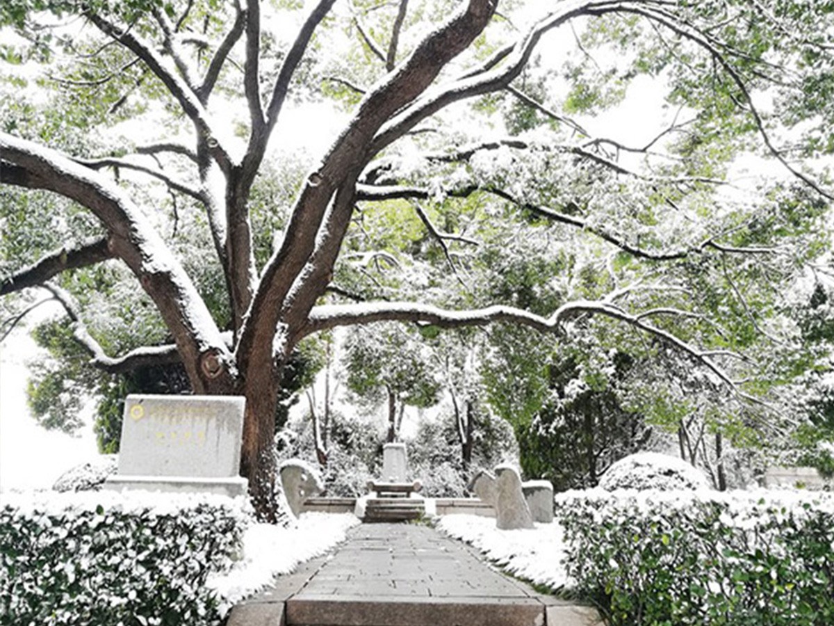 冬日雪景