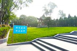 春色满园