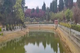 园区湖泊