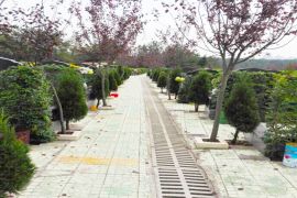 园区道路