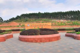 陵园风光