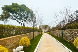 陵园小路