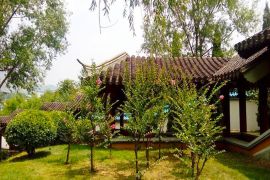 绿树草地