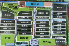 平面图