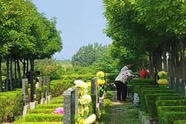 墓区环境