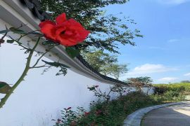园区环境