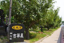 墓区环境
