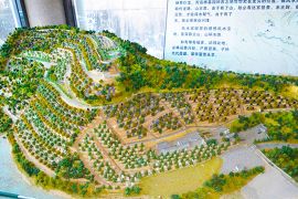 墓区环境